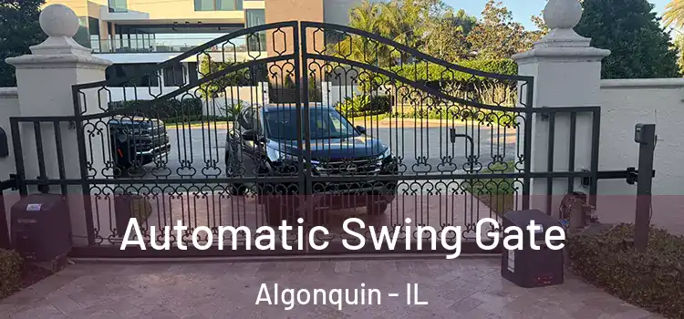  Automatic Swing Gate Algonquin - IL