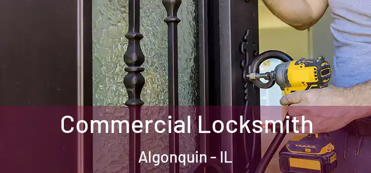 Commercial Locksmith Algonquin - IL