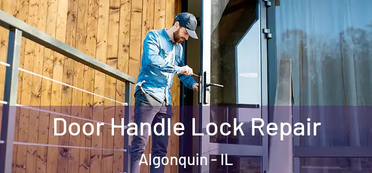 Door Handle Lock Repair Algonquin - IL