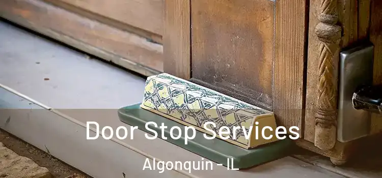 Door Stop Services Algonquin - IL