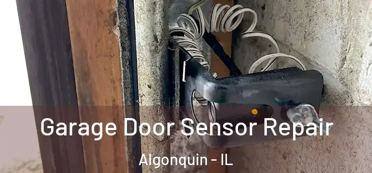 Garage Door Sensor Repair Algonquin - IL