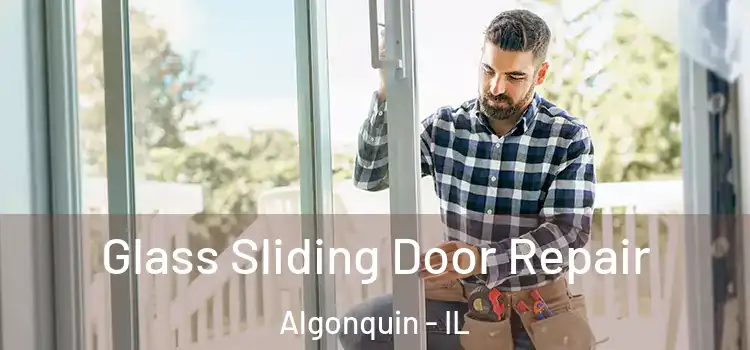 Glass Sliding Door Repair Algonquin - IL