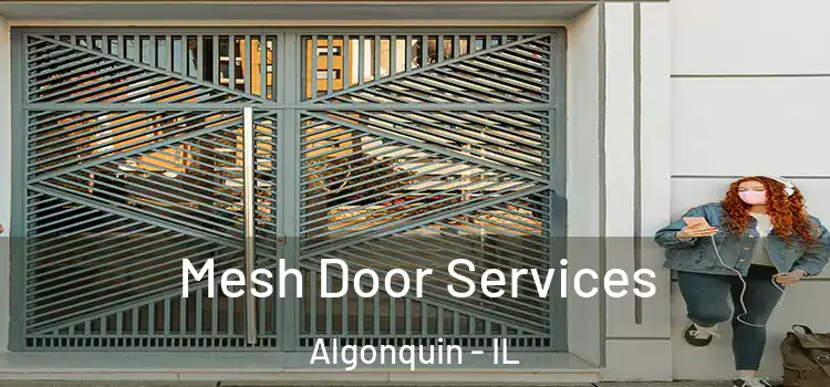 Mesh Door Services Algonquin - IL