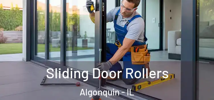 Sliding Door Rollers Algonquin - IL